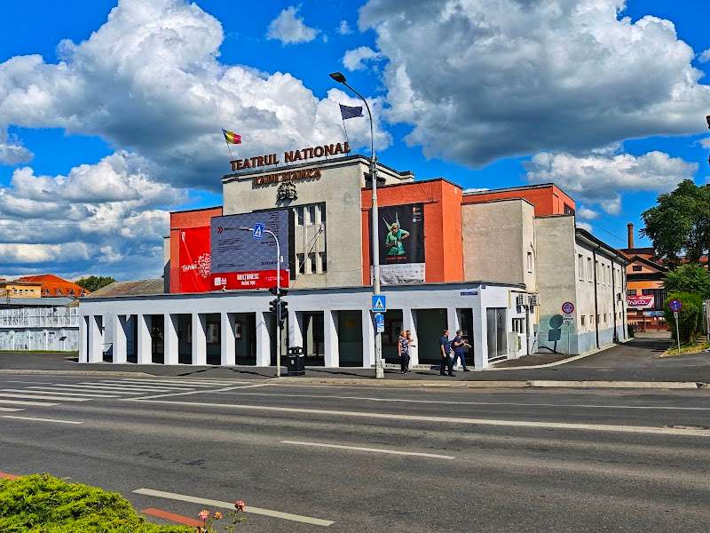 TNRS – Sala Mare, Sibiu