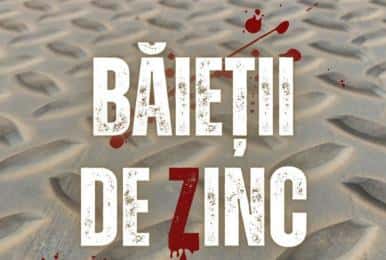 Baietii de zinc